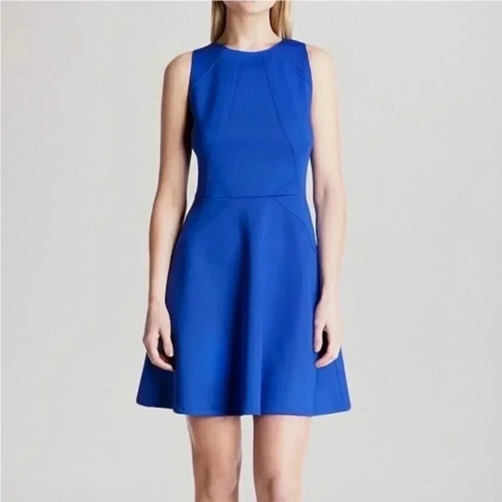 Ted Baker Mitton Fit and Flare Skater Dress